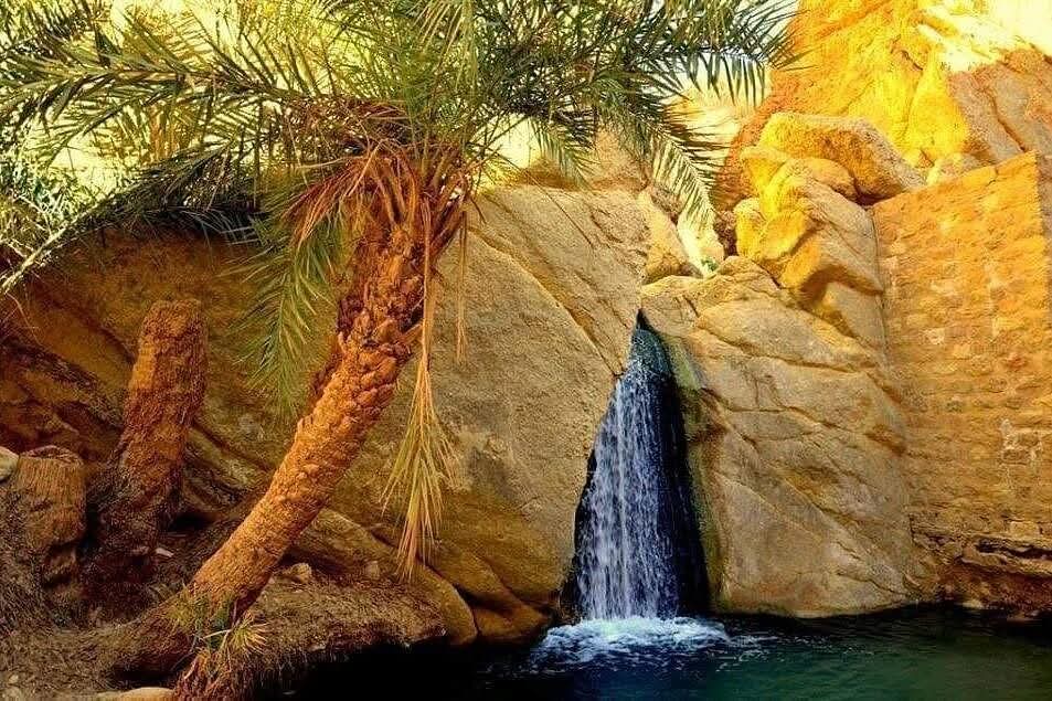   سحب قليلة بأغلب المناطق تتكاثف محليا بعد الظهر 