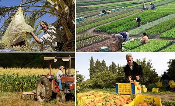 Tunisie : première promotion d’éco-conseillers ruraux pour développer l’agritourisme durable