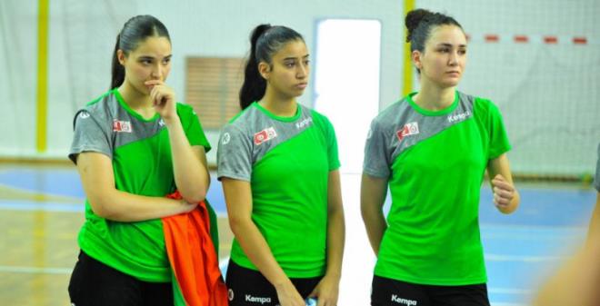 المنتخب التونسي لكرة اليد للكبريات