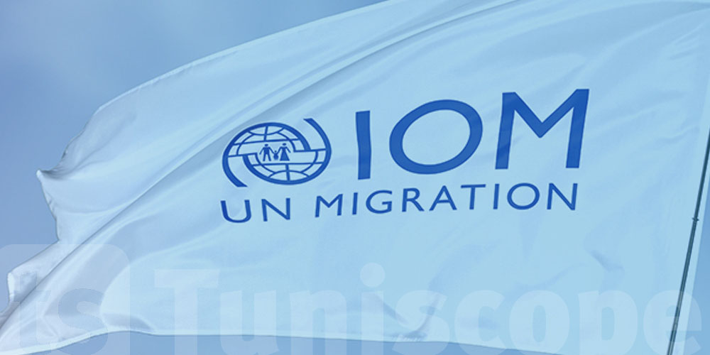 المنظمة الدولية للهجرة تنظم المدرسة الصيفية التاسعة حول الهجرة من 29 سبتمبر الى 3 أكتوبر 2025