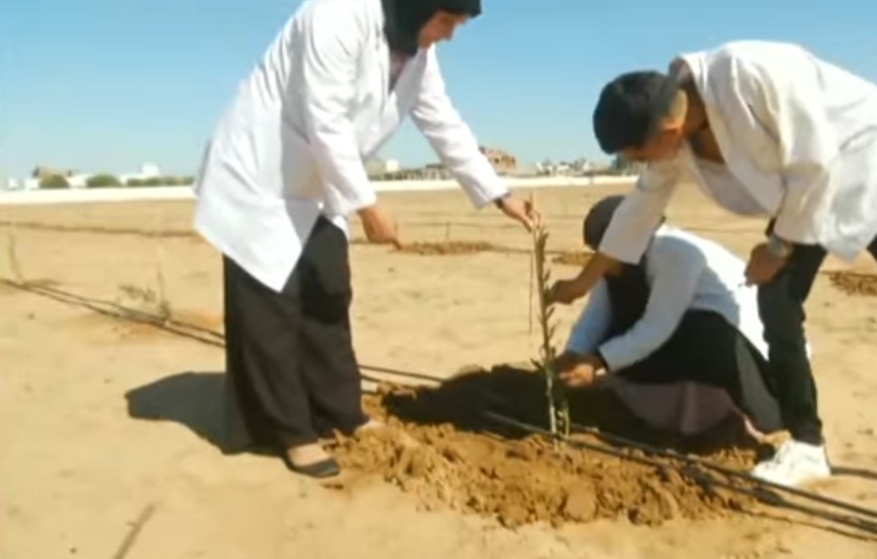 سيدي بوزيد: تركيز ضيعة فلاحية بيداغوجية بمركز التكوين المهني الفلاحي 
