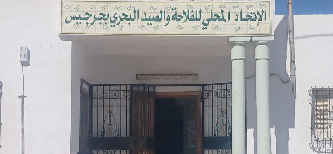 جرجيس : رئيس الاتحاد المحلي للفلاحين يدعو كافة الفلاحين الى التدخل لتمكين اشجار الزيتون  في  مناطق الانتاج من حصص ري تكميلي