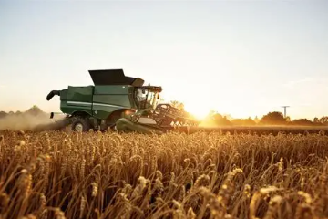 Campagne agricole 2025 : cap sur la relance céréalière et l’autosuffisance alimentaire