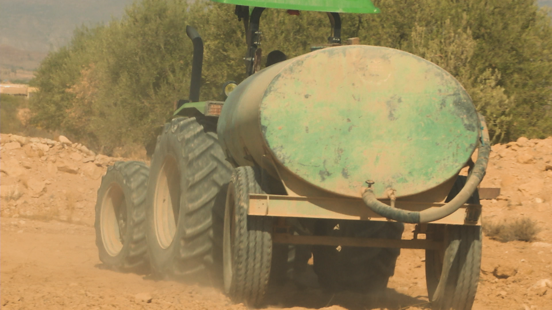 الجنوب الشرقي: انحباس الامطار يخلف تاثيرات سلبية على غابات الزياتين