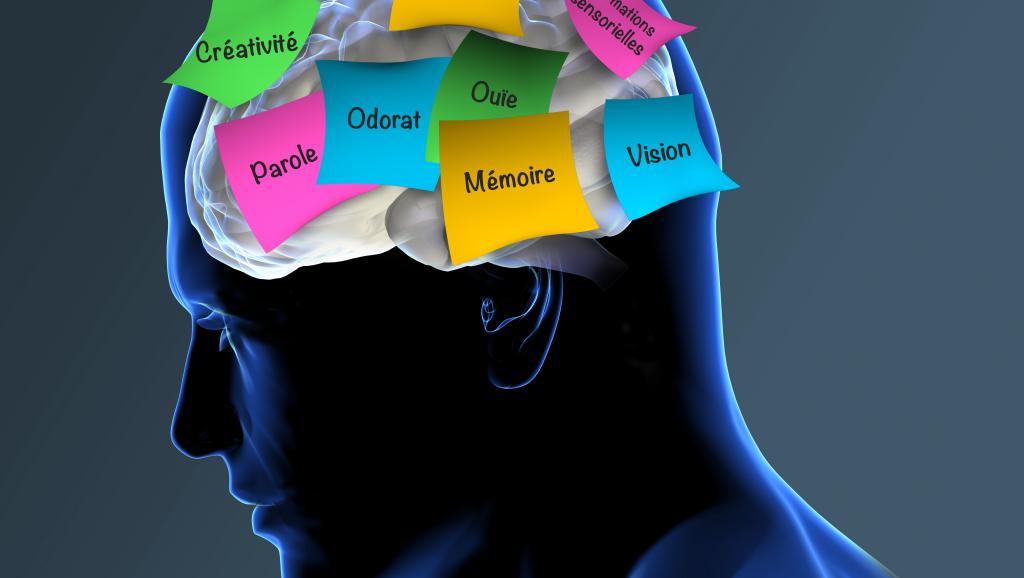 Alzheimer en Tunisie : plus de 100.000 cas recensés, un défi médical et social majeur