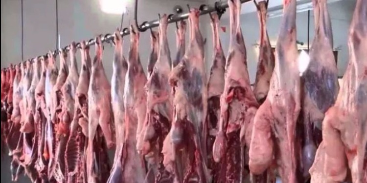 حجز حوالي 13.3 طنا من اللحوم والمواد الغذائية المخزّنة في ظروف غير صحية بولاية بنزرت