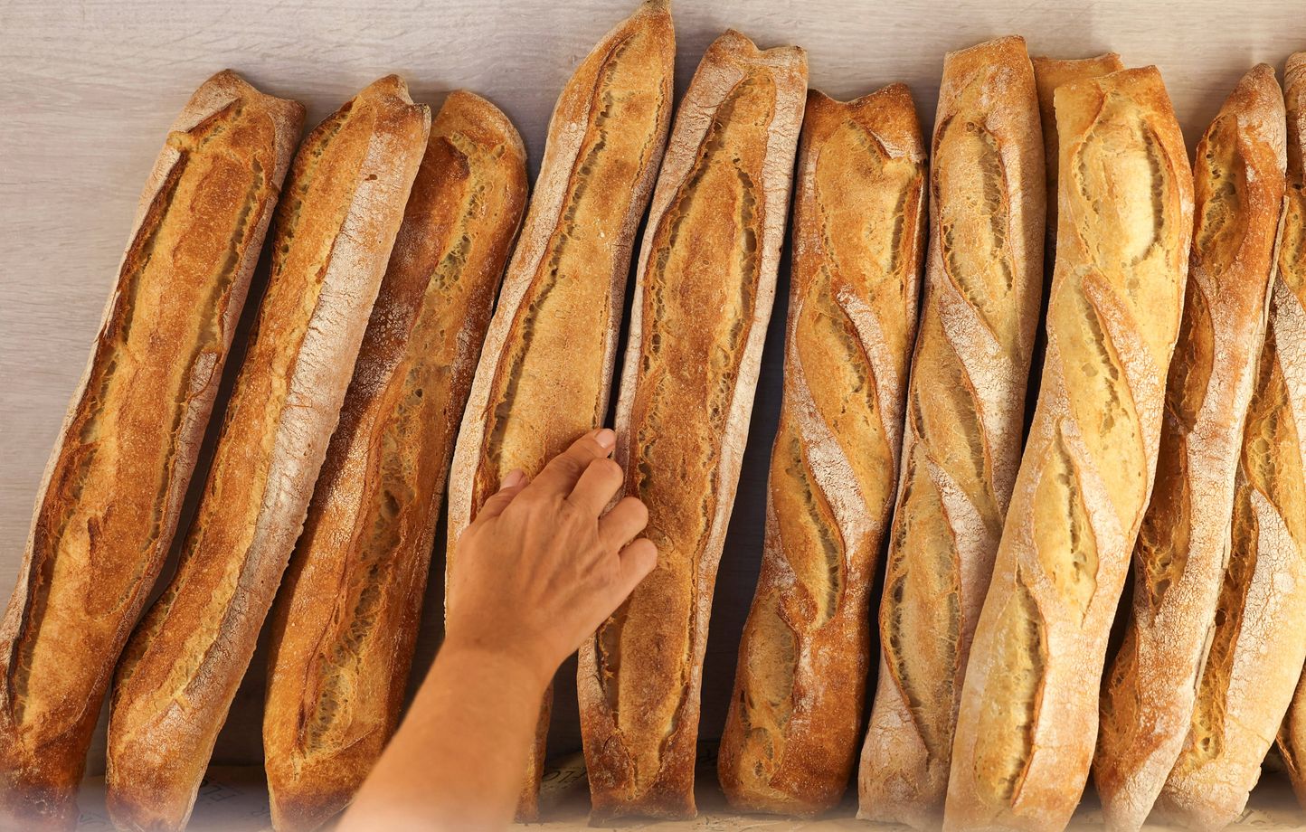 مدنين: إقتراح غلق مخبزة وحجز مواد غذائية غير صالحة للإستهلاك خلال حملات مراقبة (المنسق الجهوي للهيئة الوطنية للسلامة الصحية للمنتجات الغذائية)