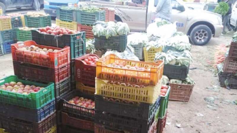 حجز 55.5 طنا من الخضر والغلال بمنطقتي برج شاكير والحرايرية