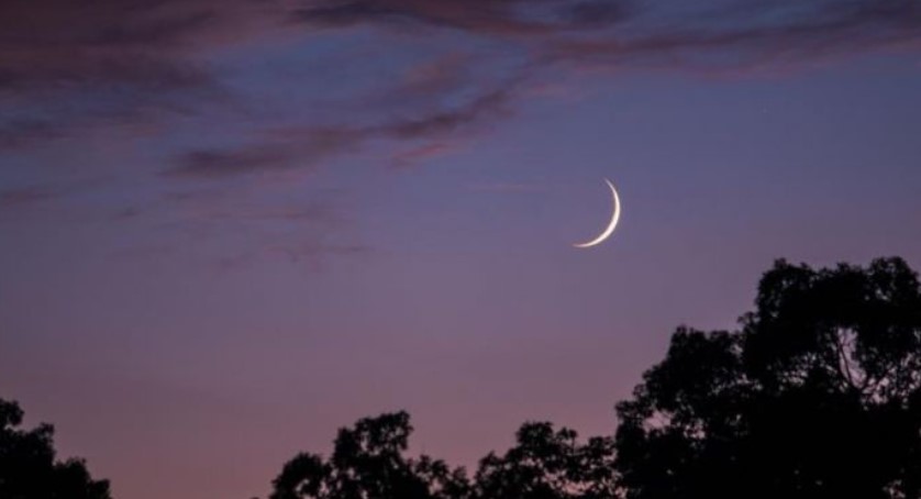 مفتي الجمهورية : الثلاثاء القادم مفتتح شهر ربيع الثاني 1447 هـ