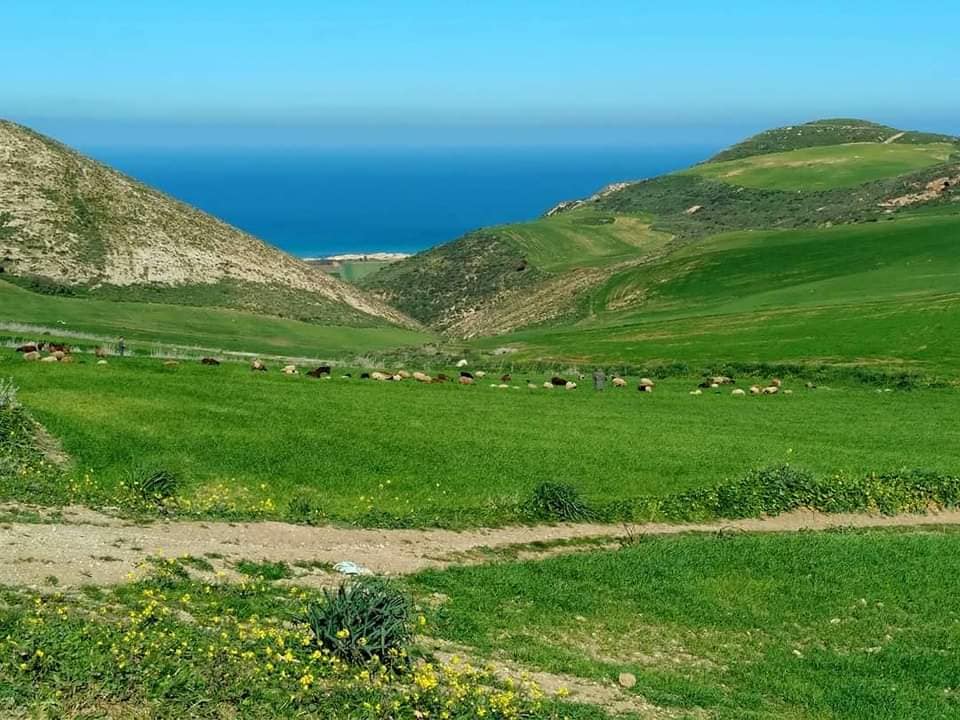 قريبا في بنزرت  : الدورة الاولى للماراطون الجبلي "الترا بورياس".