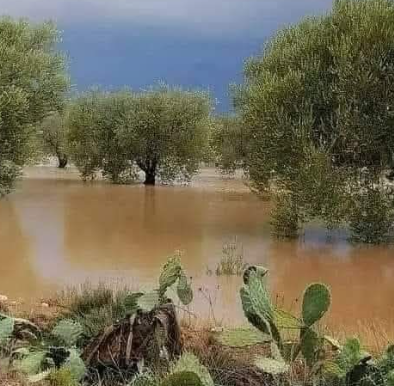سحب أحيانا كثيفة مع أمطار مؤقتا رعدية ومحليا غزيرة بالشمال والوسط