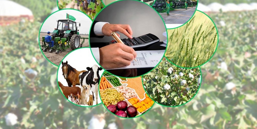 التعاضديات و الشّركات الأهلية الناشطة في القطاع الفلاحي بقفصة : من اجل مقاربة مُبتَكَرة ومندمِجة لتسويق المنتجات و احداث أسواق نموذجية للترويج