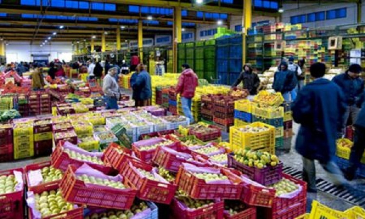      رئيس نقابة وُكلاء بيع الخضر والغلال بالجملة بسوسة  : رقمنة اسواق الجملة ومسالك التوزيع هو مشروع اصلاحي يسير شرط تشريك المختصين وتنقيح القوانين لتتلائم مع الوضع الراهن