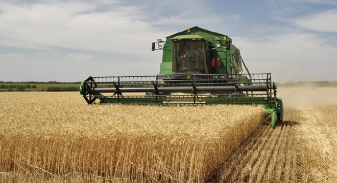 اتحاد الفلاحة يدعو إلى توفير الأسمدة وخاصة DAP وتسريع نسق وضع البذور الممتازة على ذمة الفلاحين