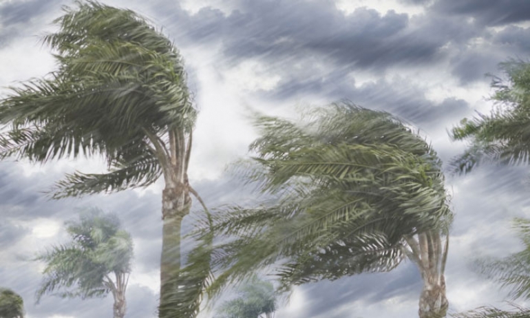 سحب أحيانا كثيفة مع رياح من القطاع الشمالي قوية نسبيا