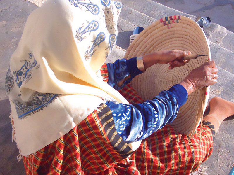 الأيام التعريفية للحملة الوطنية "لمات" تنتظم بتونس العاصمة بداية من 29 سبتمبر 2025