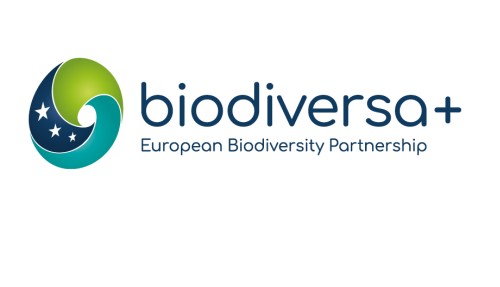 فتح باب الترشح لدعم مشاريع بحث حول موضوع" استعادة وظائف النظم الإيكولوجية وسلامتها وترابطها "