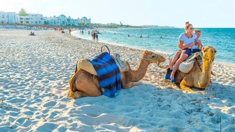 الجهة السياحية نابل الحمامات: أكثر من 3 ملايين ليلة مقضاة وعدد السياح يتجاوز 666 ألف سائح