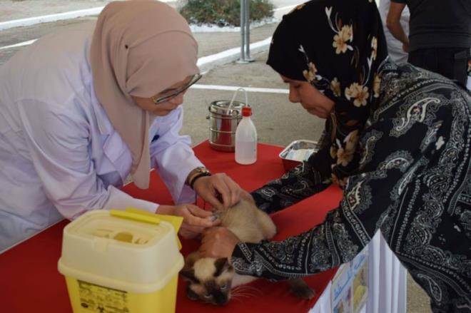 تواصل عملية تلقيح الحيوانات ضد داء الكلب في عدد من الجهات