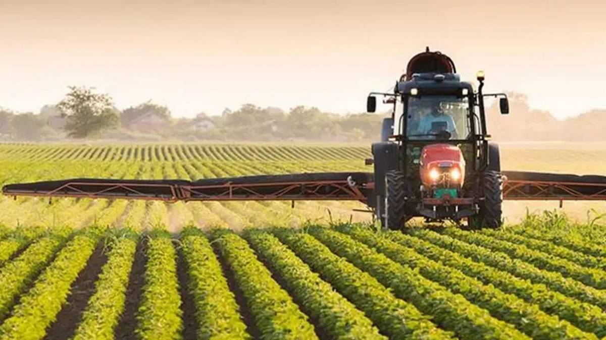 وزارة الفلاحة: الاستعدادات حثيثة لموسم الزراعات الكبرى لا سيما بعد توفير ضعف الكميات من البذور الممتازة