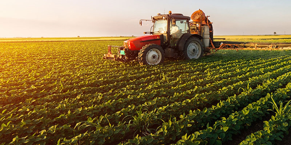 حماد بوسالمي: 120 م/د كلفة مشروع التنمية الفلاحية المندمجة الجبلية الصغرى بالشمال الغربي ونسق الإنتاج مرضي