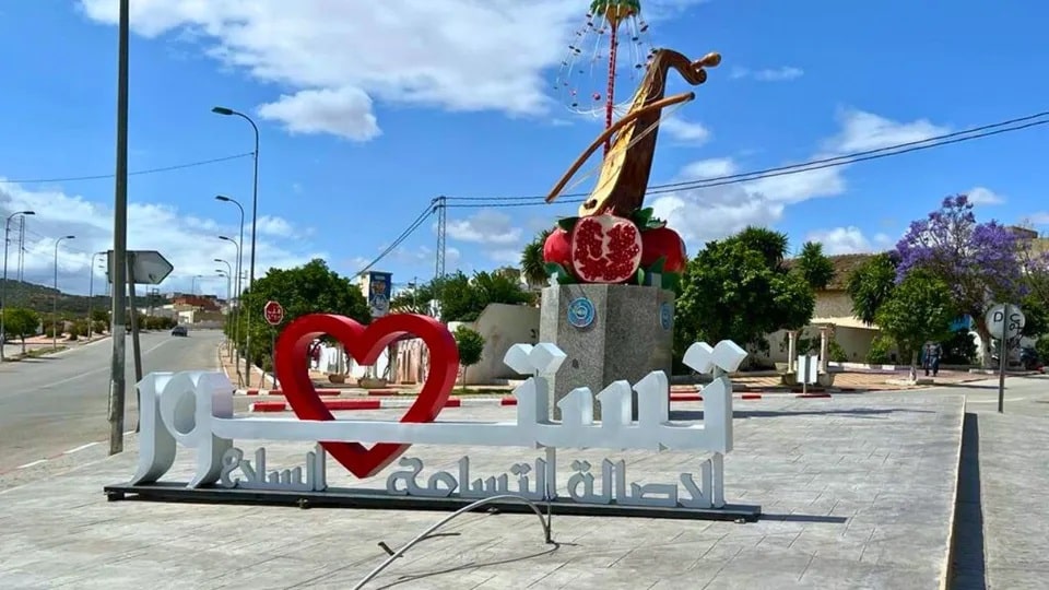 تستور:  تراجع صابة الرمان بتستور على مستوى الانتاج والجودة بسبب نقص مياه الري 