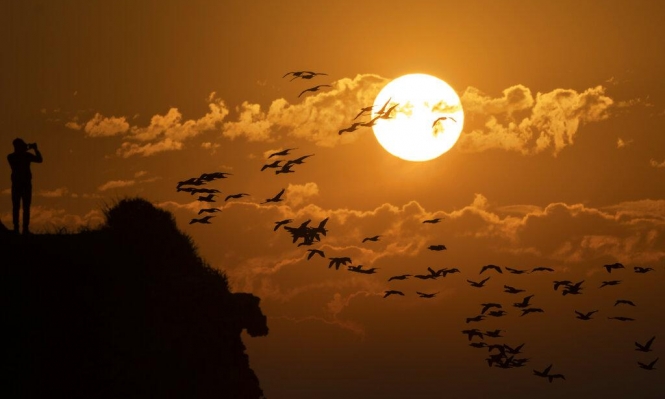 طقس مغيم هذه الليلة باغلب الجهات