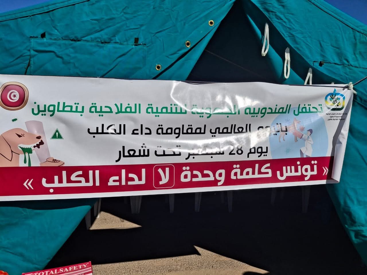 تطاوين الإقبال على تلقيح الحيوانات منذ انطلاق االحملة الوطنية لمقاومة داء الكلب وتركيز خيمة بيطرية بغمراسن