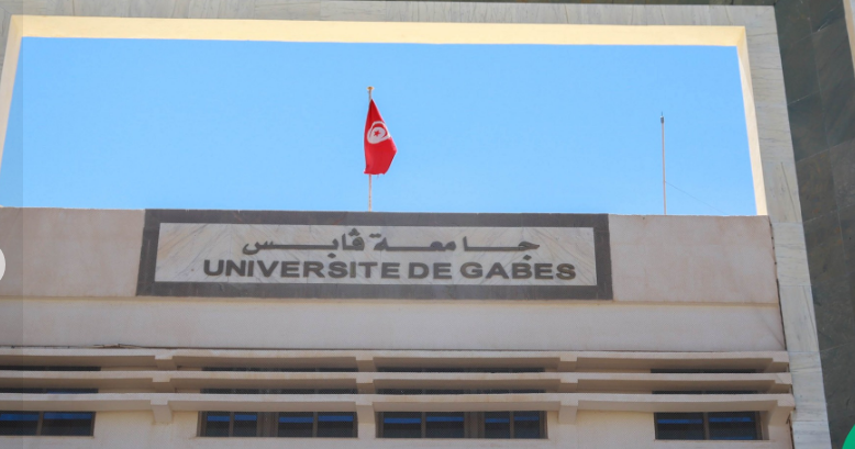 بمبادرة من جامعة قابس: دورة تكوينية بجزيرة جربة حول سبل تحسين إشعاع البحث العلمي