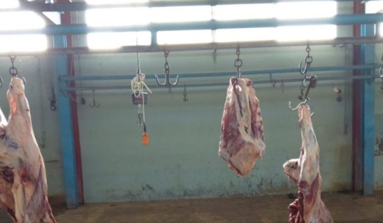 نابل - قربة: القصابون يطالبون بإعادة فتح المسلخ البلدي