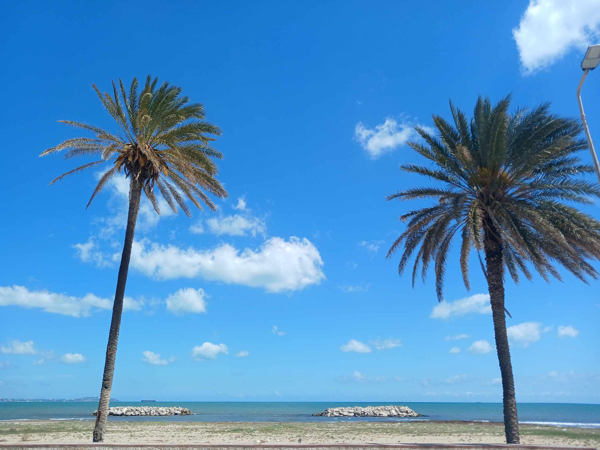 طقس كثيف السحب مع أمطار غزيرة