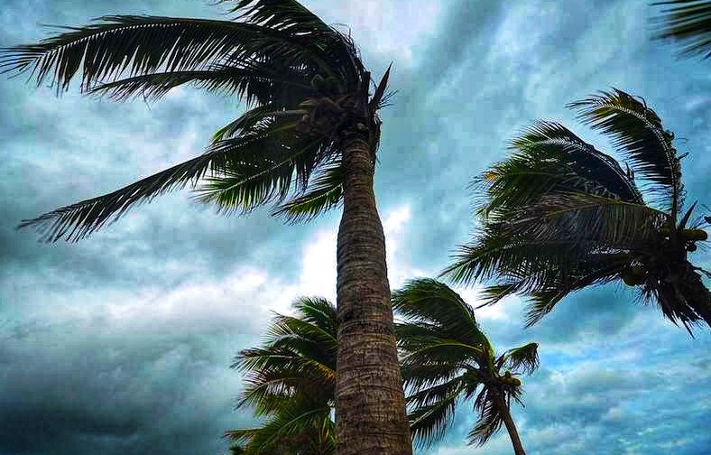 نشرة متابعة: هبوب رياح قويّة بشمال تونس وشرقها ثم محليّا بخليج قابس