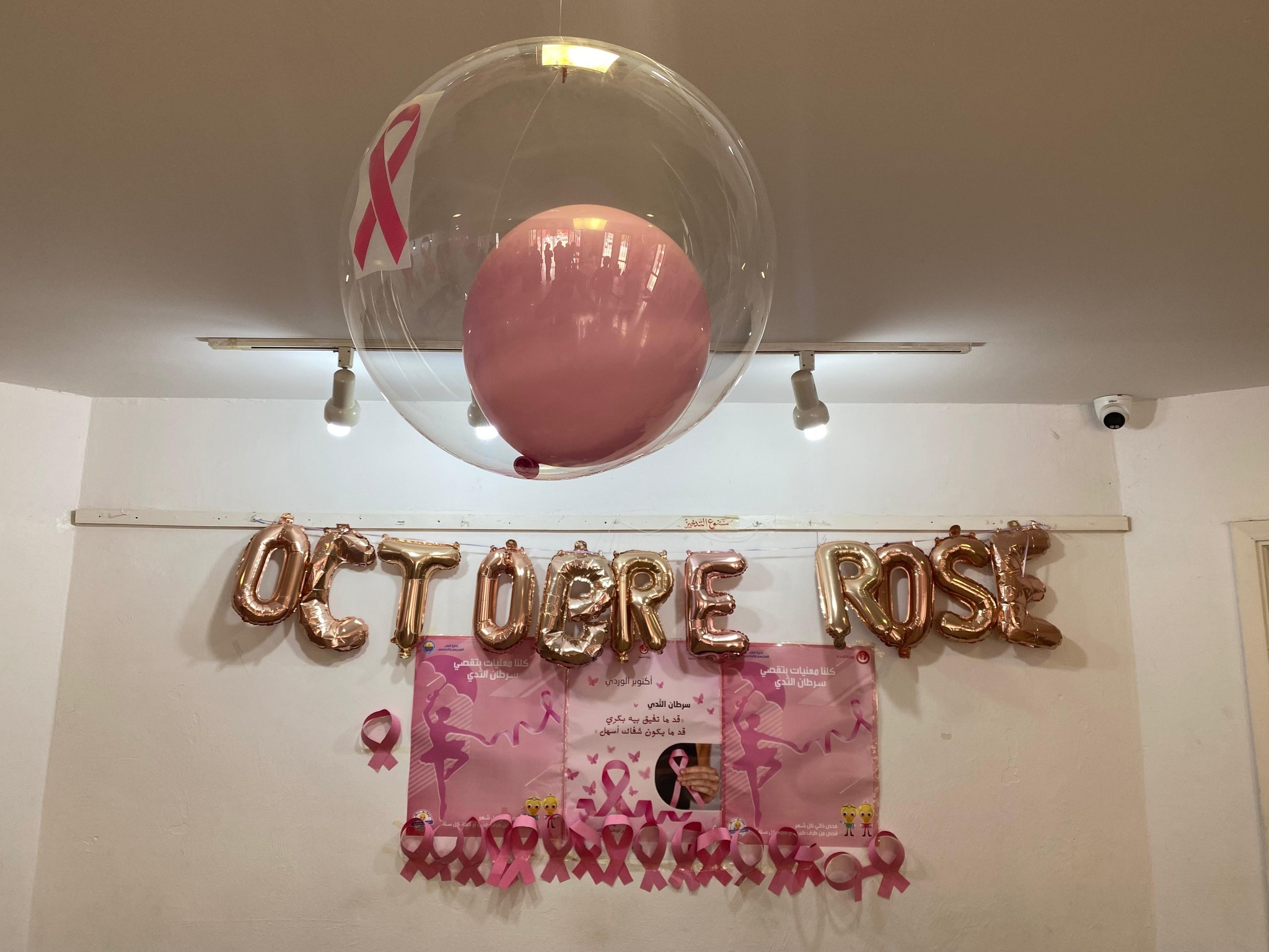 منوبة : انتفاع أكثر من 400 امرأة بقافلة لتقصي سرطانات الثدي وعنق الرحم في المرناقية ضمن برنامج أكتوبر الوردي