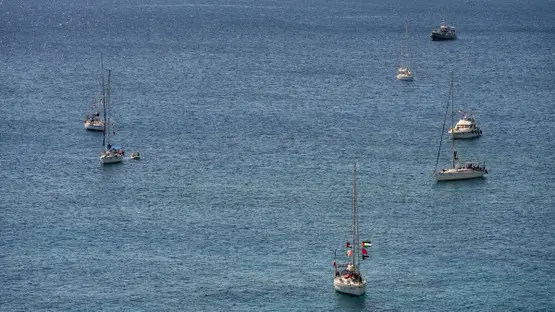 المحامية نجاة هدريش تؤكد انسجام أسطول الصمود مع القانون الإنساني الدولي وتوضح مصير المشاركين فيه