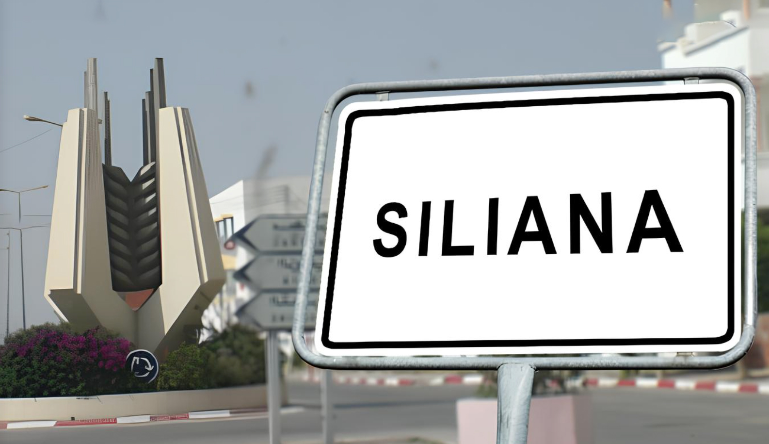 Siliana : vers la construction d’un nouvel abattoir municipal