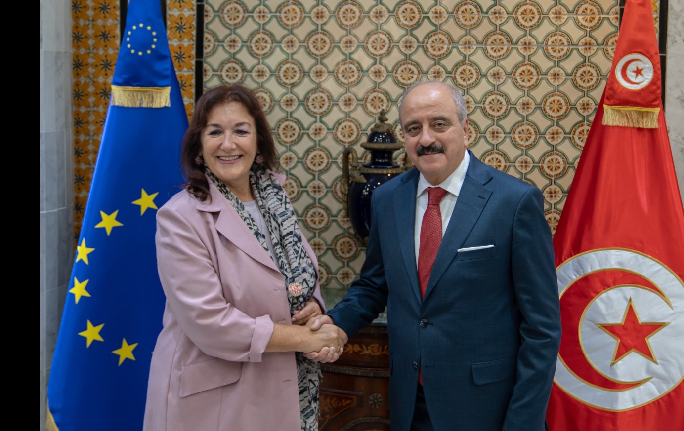 الميثاق الجديد من أجل المتوسط وسبل تعزيز التعاون الثنائي أبرز محاور لقاء وزير الخارجية مع المفوضة الأوروبية لشؤون المتوسط