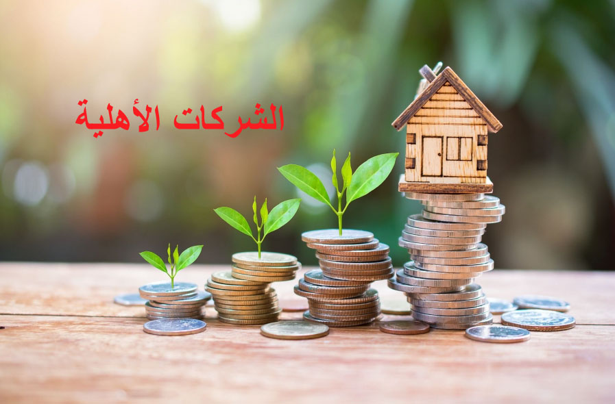 الرائد الرسمي: صدور مرسوم جديد ينقح المرسوم المتعلق بالشركات الاهلية