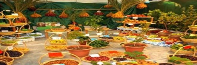 وزارتا الفلاحة والمالية تمنحان مستعملي المبيدات البيولوجية تخفيضا ب50% في المعاليم المتعلقة بالتحاليل والتسجيل والتجارب