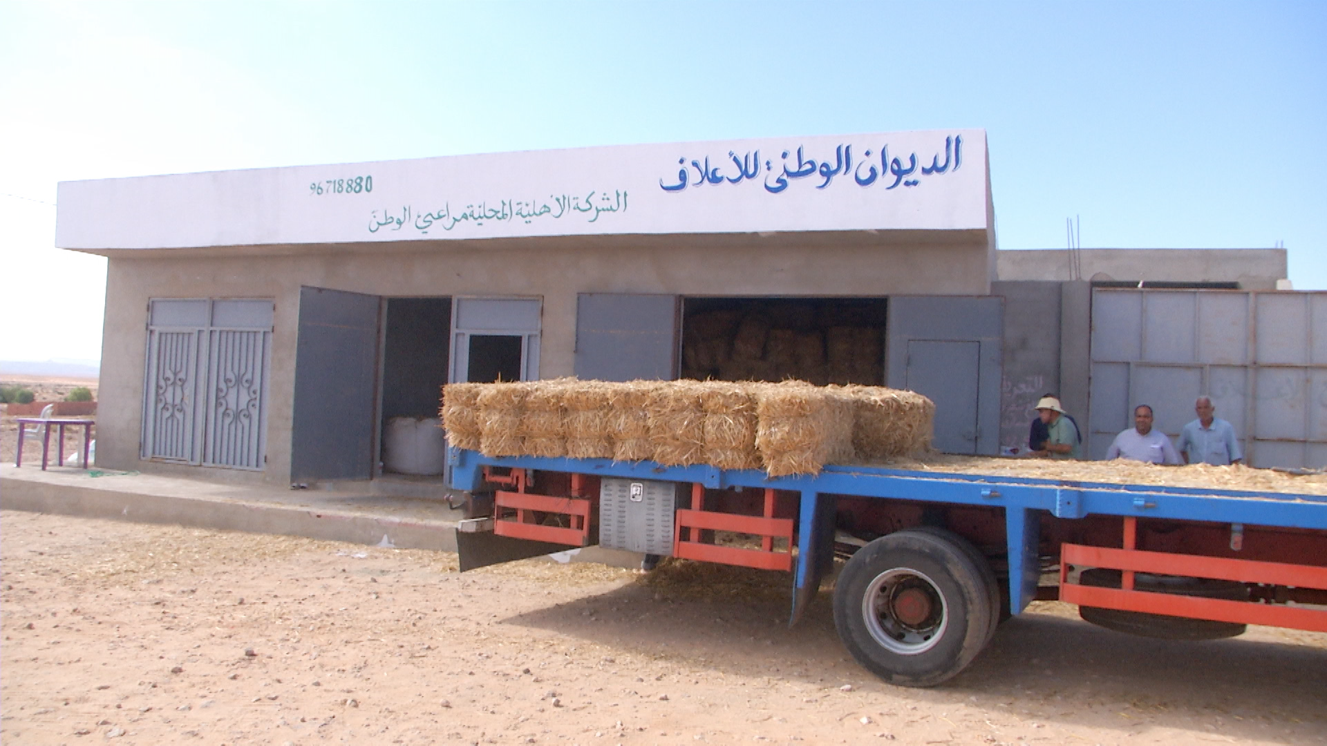 ولاية تطاوين : انطلاق النشاط الفعلي لاول شركة اهلية  احدثت بمنطقة كمبوت بمعتمدية رمادة 
