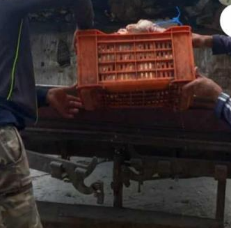 بنزرت: حجز كمية من اللحوم الحمراء غير صالحة للإستهلاك إثر حملة مراقبة على الطرقات