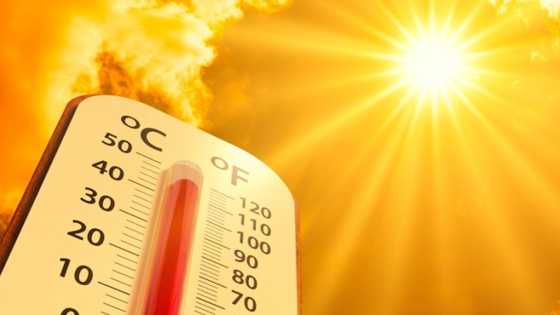 صيف 2025 يصنّف من بين مواسم الصيف الأشد  حرّا في تونس منذ سنة 1950