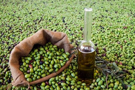المكتب التنفيذي الموسع للاتحاد التونسي للفلاحة والصيد البحري يدعو الى تعاضد الجهود بين جميع المتدخلين لانجاح موسم الزيتون