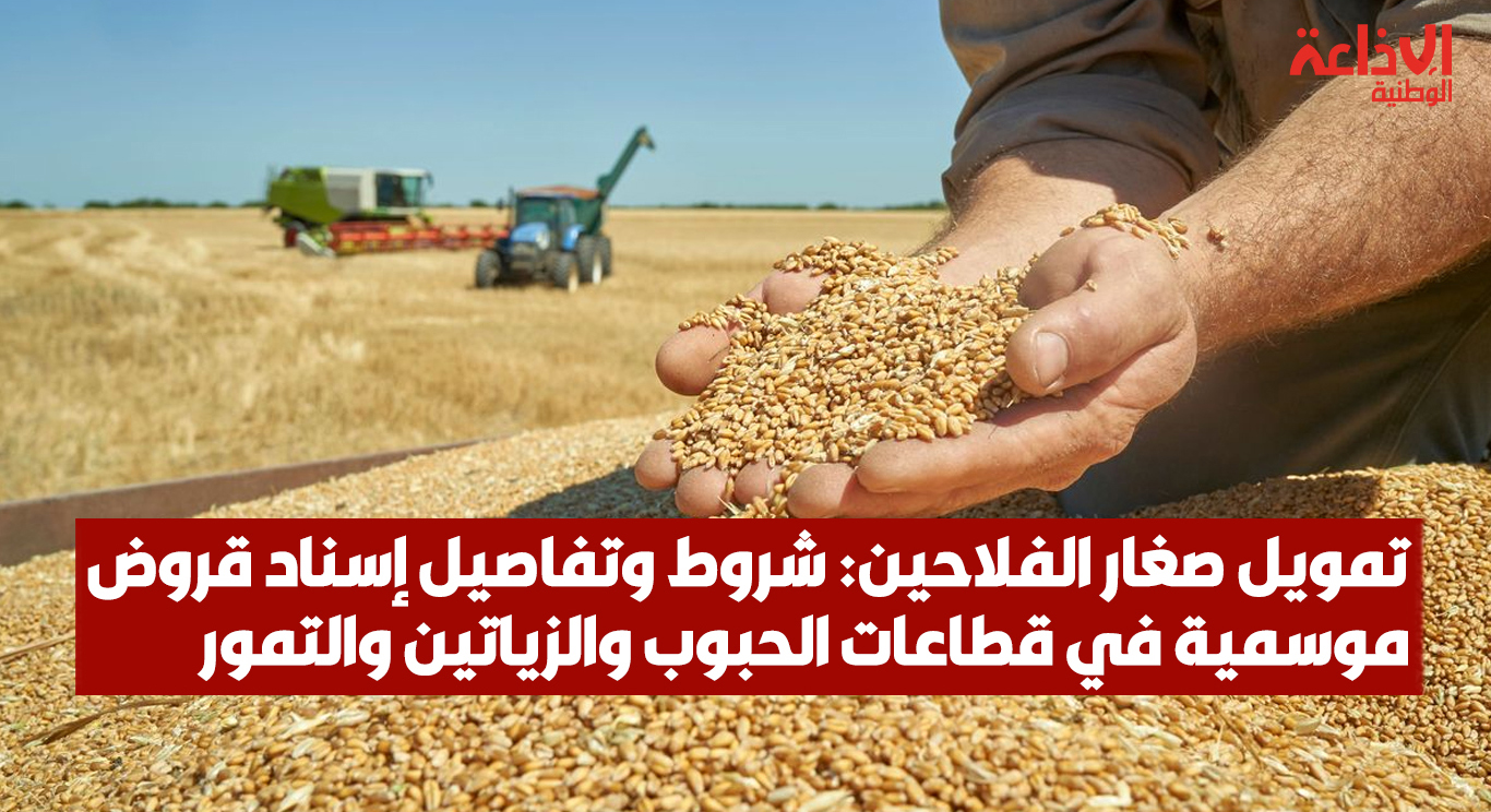 تمويل صغار الفلاحين: شروط وتفاصيل إسناد قروض موسمية في قطاعات الحبوب والزياتين والتمور