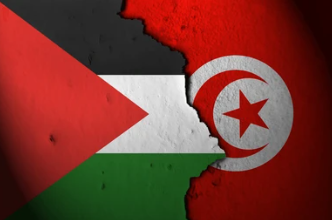 Cessez-le-feu à Gaza :la Tunisie réaffirme son soutien au peuple palestinien