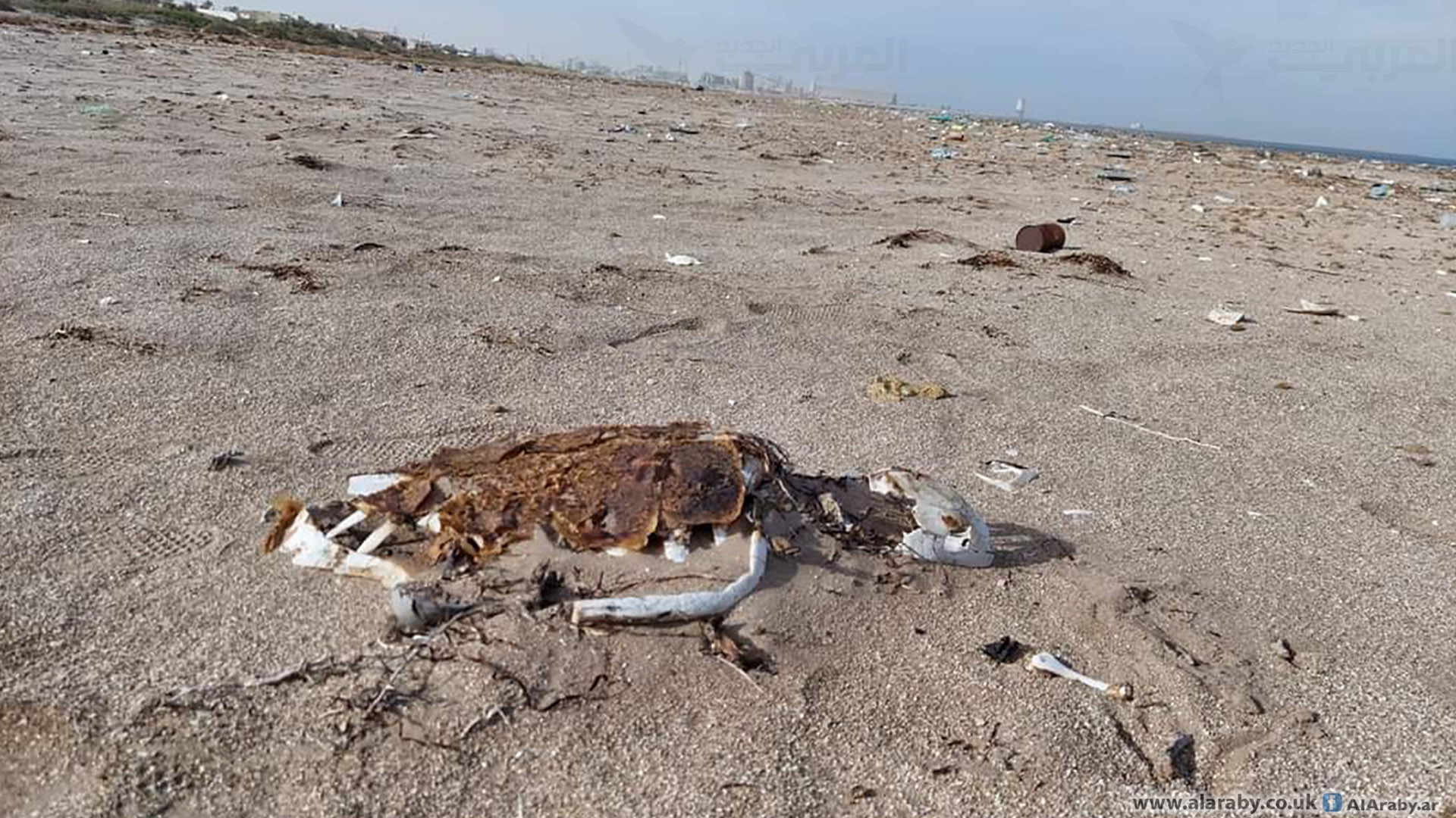 قابس: أهالي منطقة شاطئ السلام يغلقون الطريق احتجاجا على الانبعاثات الغازية الصادرة من المجمع الكيميائي