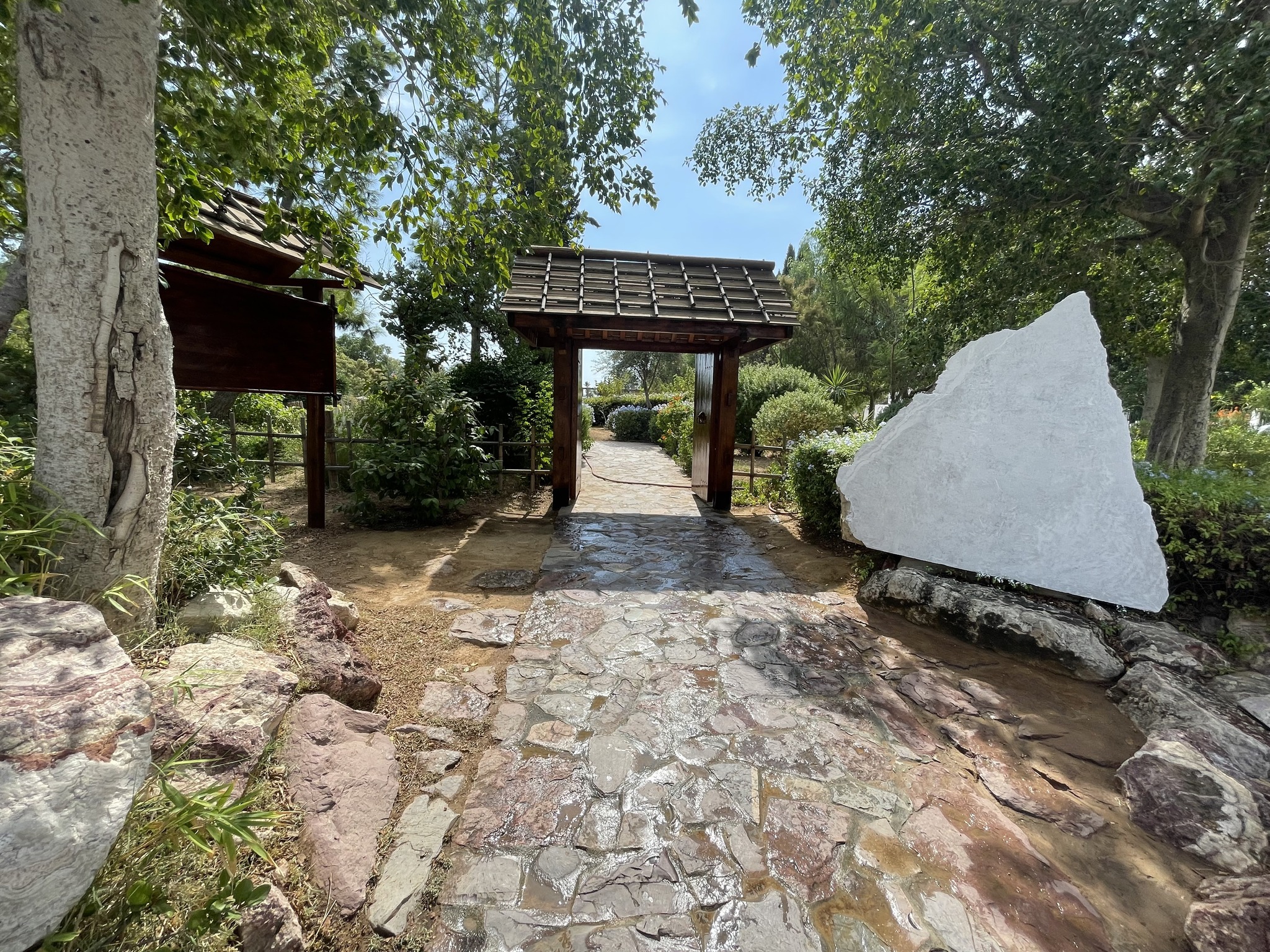 استئناف تهيئة الحديقة اليابانية بمونبليزير بتونس العاصمة بوتيرة متسارعة