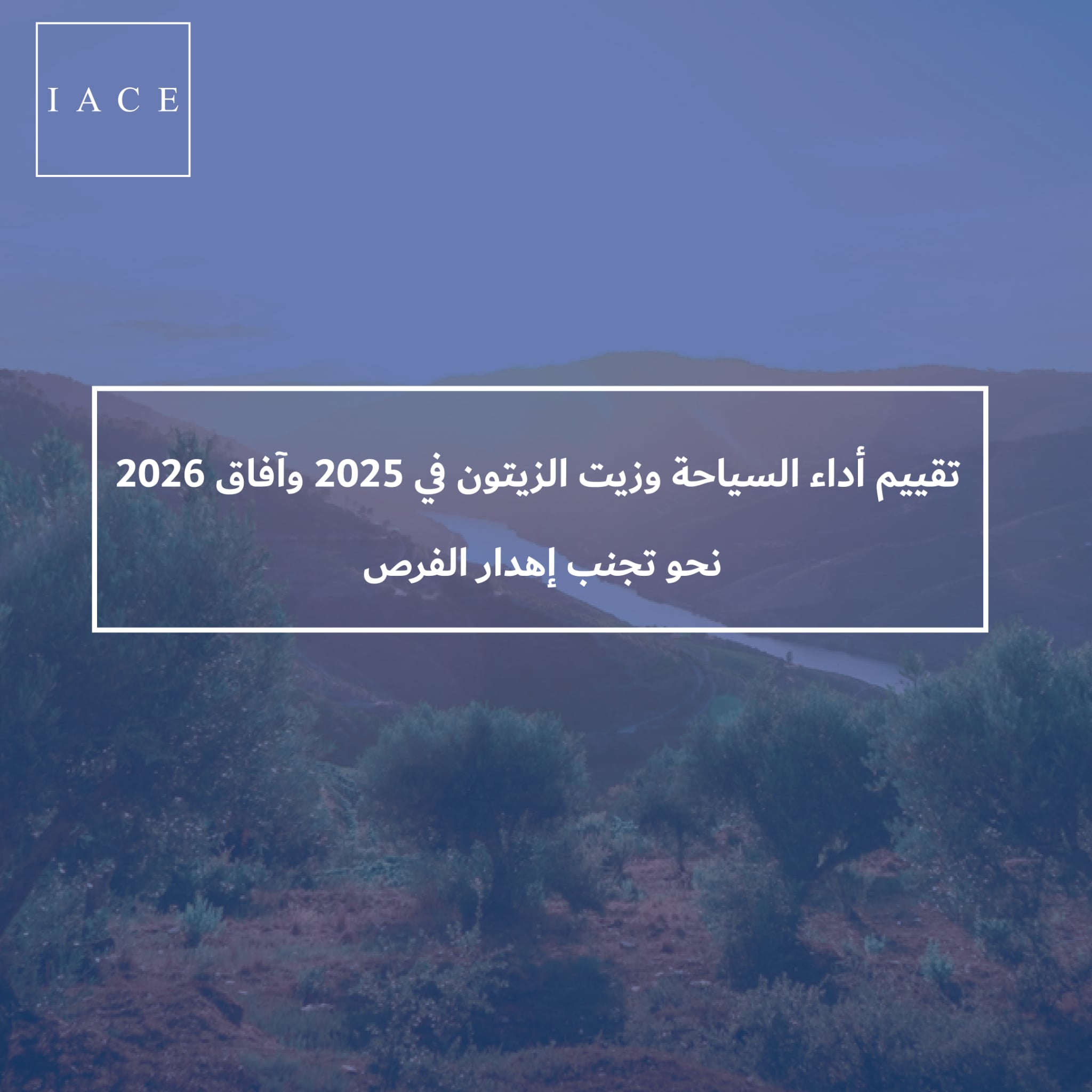 المعهد العربي لرؤساء المؤسسات يوصي بالاستفادة من النمو الملحوظ والمستقبلي لقطاعي السياحة وزيت الزيتون
