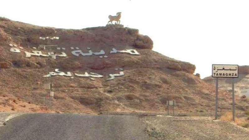 المدرسة الحقلية بتمغزة لفائدة فلاحي ولايات الجنوب والوسط : 11 و 12 اكتوبر 2025