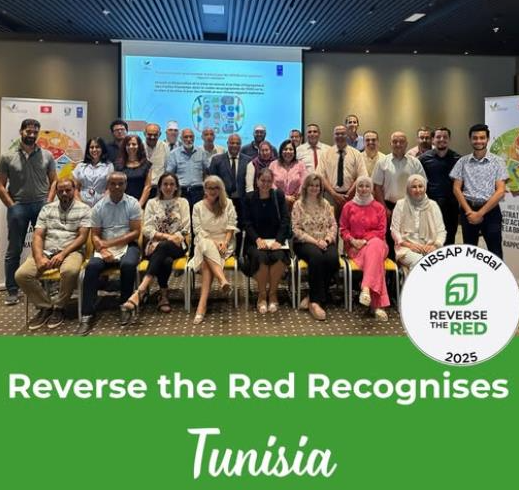 تتويج تونس خلال المؤتمر العالمي للحفاظ على الطبيعة لالتزامها بحماية الانواع واستعادة التنوّع البيولوجي