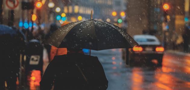 الطقس أحيانا كثيف السحب مع أمطار متفرقة ومؤقتا رعدية بالشمال